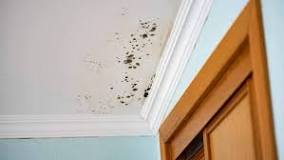 Understanding and Addressing Brown Spots on the Ceiling: A Comprehensive Guide to Prevention and Remediation